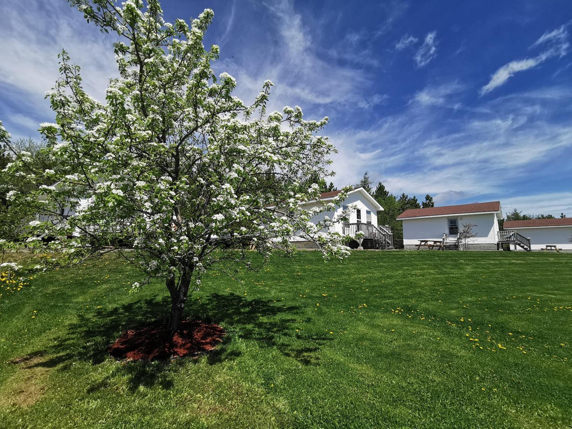L'Ancrage B&B And Cottages Saint Louis de Kent Eksteriør billede